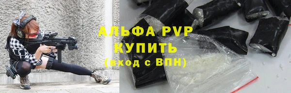 крисы Алексин