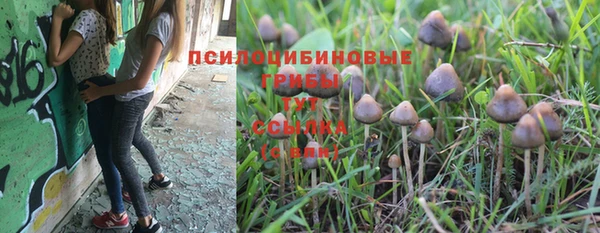 ПСИЛОЦИБИНОВЫЕ ГРИБЫ Нея