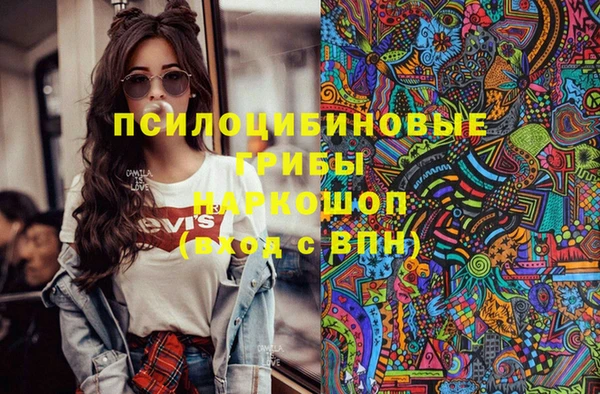 бошки Алзамай