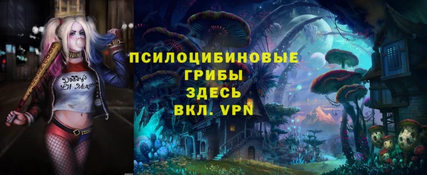 крисы Алексин